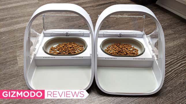 Image for article titled This $150 Pet Feeder Saved My Sanity When I Got a Second Cat