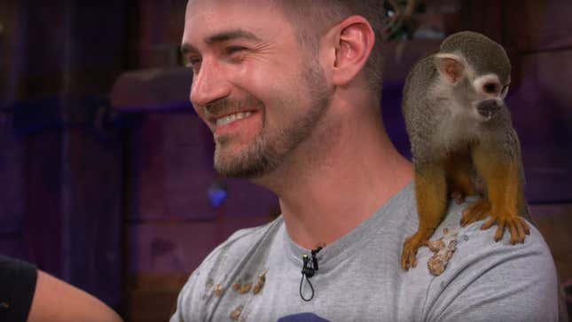 Image for article titled Monkey Pukes On Developer During Sea of Thieves Livestream