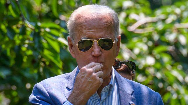 Image for article titled It&#39;s Time To Spark It Already, Biden