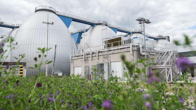 A biogas plant in Germany with a field of purple flowers in foreground