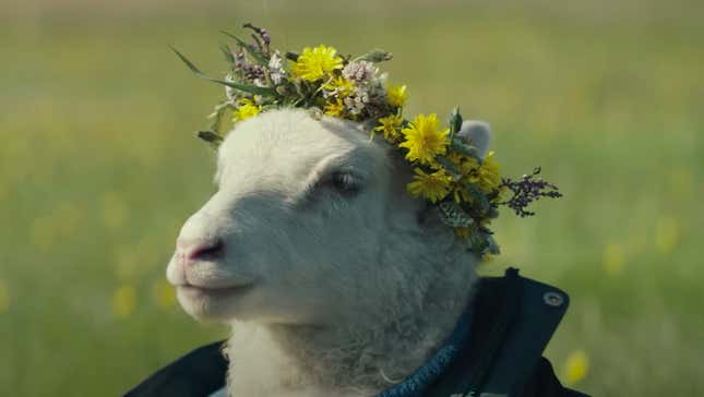 A lamb wearing a flower crown