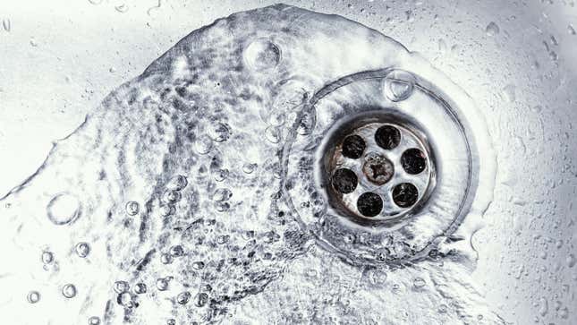 Image for article titled How to Keep Your Drains Free From Clogs