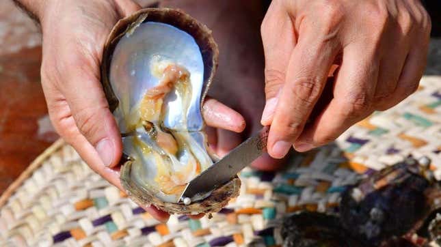 Image for article titled What Are the Odds of Finding a Pearl in My Oyster?