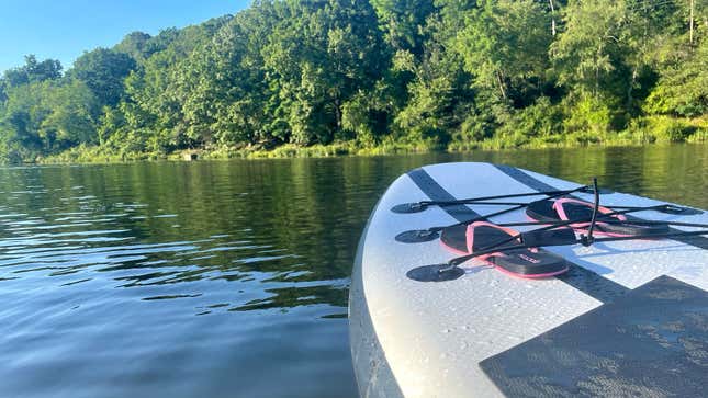 Front of paddleboard on a lake