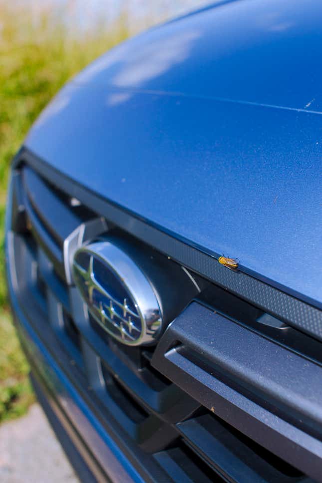 Image for article titled The Subaru Crosstrek Makes Sense Once You Drive It