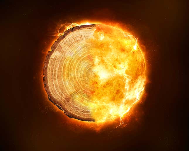 A composite image shows a tree's rings and a Sun-like ball of fire.