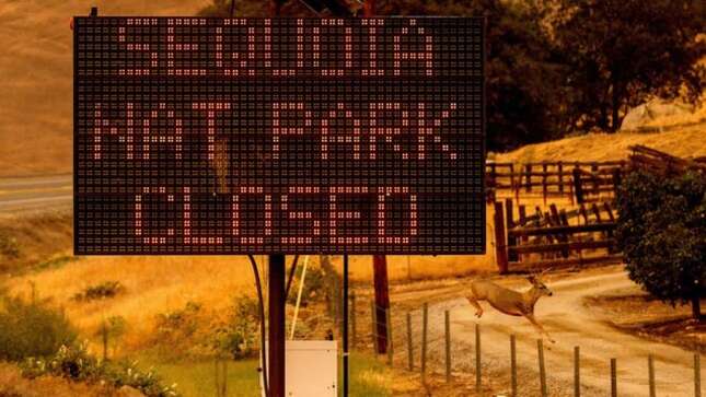 Imagen para el artículo titulado Un incendio amenaza algunos de los árboles más grandes del planeta en el Parque Nacional Sequoia