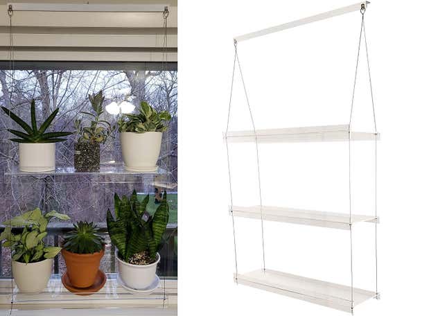 Image for article titled Gifts For Your Friend Who Has Way Too Many Goddamn Plants
