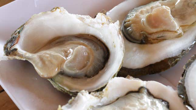 Image for article titled Avoid These Raw Oysters From Canada, FDA Says