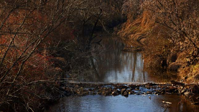 Coldwater Creek, a highly contaminated waterway where nuclear waste from weapons production was dumped during WWII, flows nearby the elementary school. 
