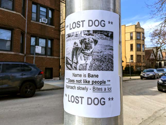 Image for article titled Lost Dog Poster More Of A Warning To Avoid Dog