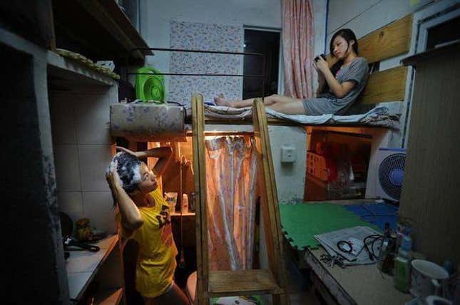 China's Ant Tribe