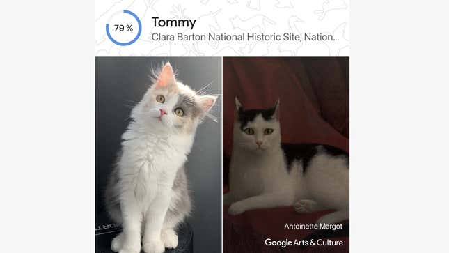 My cat Leia’s historical doppelgänger, courtesy of the new “Pet Portraits” feature in the Google Arts &amp; Culture app. The eyes are almost exactly the same.
