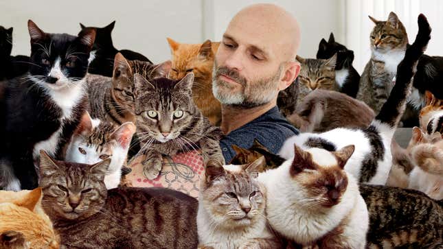 Image for article titled NYC Officials Announce Single Very Sad Man Has Adopted All 500,000 Feral Cats