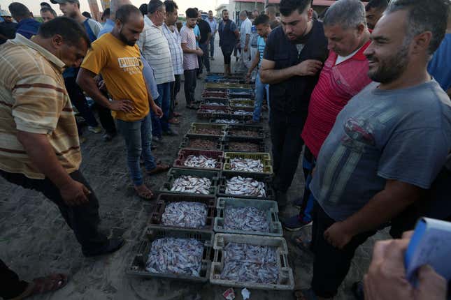 Palestinian traders evaluate the catch of the day at the seaport in Gaza City, Thursday, Sept. 7, 2023. After allegedly uncovering explosives hidden in clothing shipped from Gaza to the West Bank, the Israeli government opted for a punitive response this week, clamping down on all cargo shipments out of Gaza and choking off the territory&#39;s already ailing economy. (AP Photo/Adel Hana)