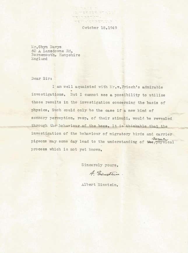 Imagen para el artículo titulado Descubren una carta perdida de Einstein en la que predijo la capacidad de las aves para orientarse con un sexto sentido