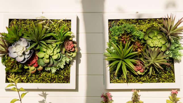 Image for article titled 11 Spectacular Vertical Gardens You Can Grow in Small Spaces
