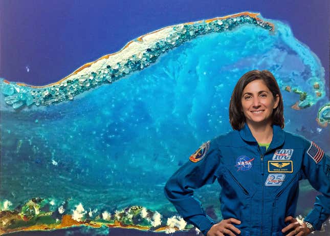 nicole stott nasa astronaut painting in space