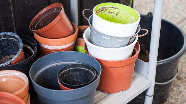 Image for article titled Clean Your Flower Pots Before Reusing Them (Without Hurting Your Plants)