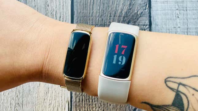A photo of a person wearing two Fitbit bands  