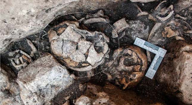 Imagen para el artículo titulado Este cráneo de 5.300 años revela la evidencia más temprana de una cirugía de oído en humanos