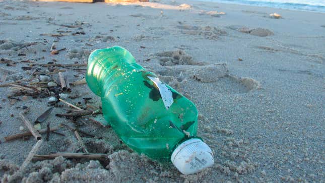 Image for article titled Bacteria and the Sun Can Destroy Ocean Plastic—but Is It the Fix We Need?