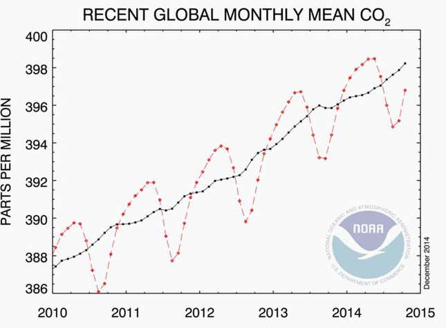 Image for article titled The world’s scallops and oysters are mysteriously dying out
