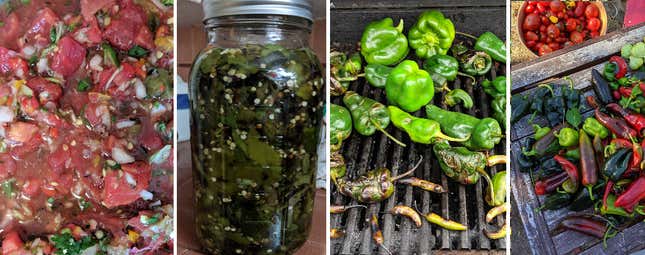 From right, freshly picked peppers and tomatoes, grilling the peppers to char, fermenting the peppers in a jar in brine, and then the finished salsa. 