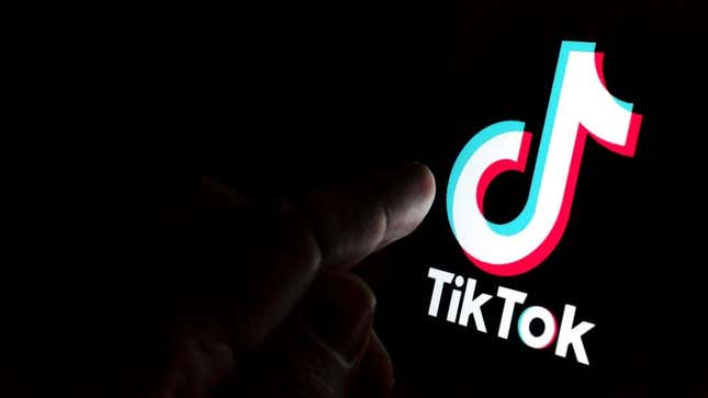 Image for article titled New Report Seems to Confirm the Worst Fears About How TikTok Uses Data