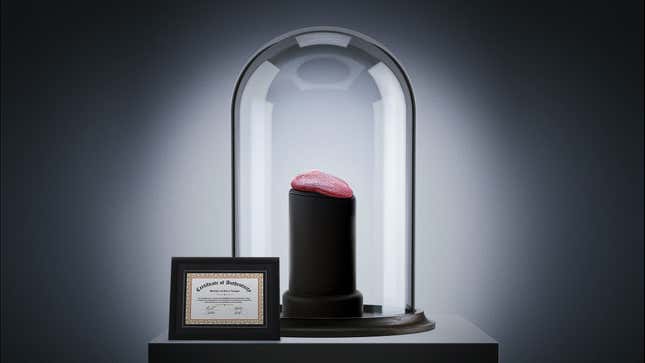 Image for article titled Jordan’s Game-Used Tongue Sold For $1.38 Million At Auction
