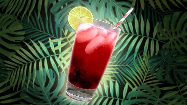 Cherry Key Lime Rickey in glass against background of frond greenery 