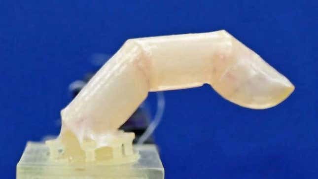 Imagen para el artículo titulado Este dedo robótico está cubierto de piel humana viva