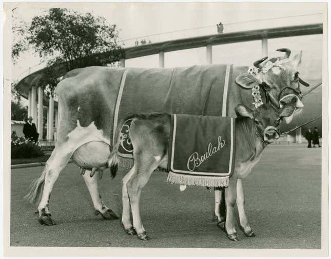 Family life in the public eye: Elsie and her daughter Beulah.