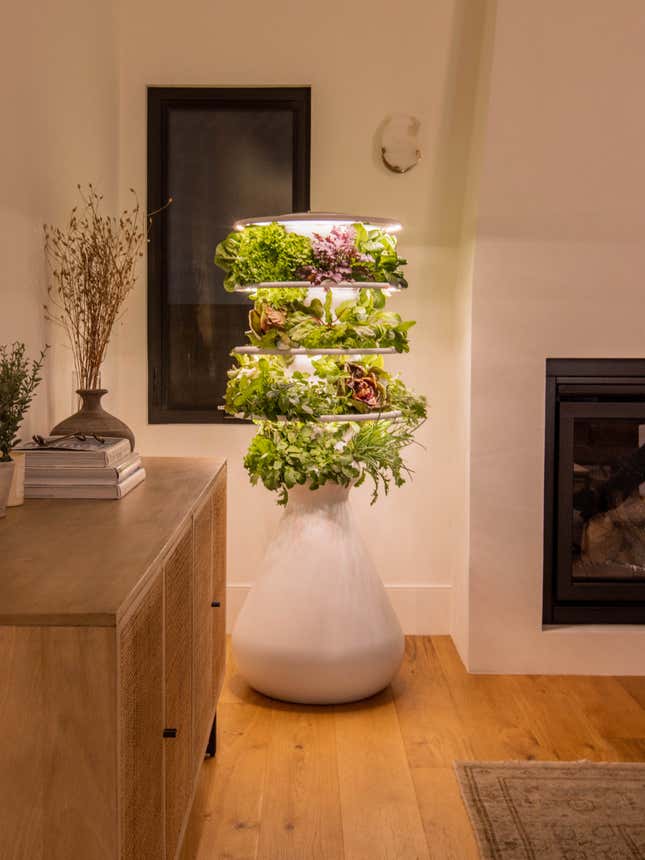 A Lettuce Grow growing stand placed in the corner of a living room