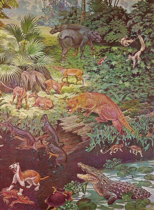Life soon flourished after the dinosaurs were gone.
