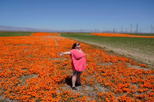 A visitor from Atlanta poses on the Antelope Valley Poppy Reserve near Lancaster, CA on April 10, 2023.