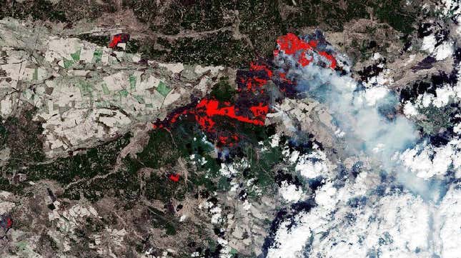 This satellite image shows the burned area around Chernobyl in Ukraine on April 10, 2020, following an outbreak of wildfires. 