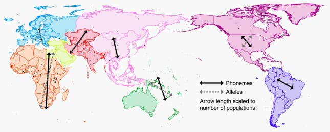 Where genetic and linguistic variation happen.