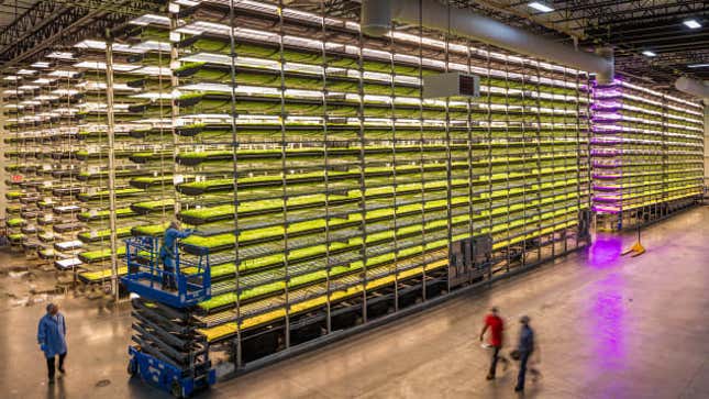 AeroFarms’ facility in Newark, New Jersey