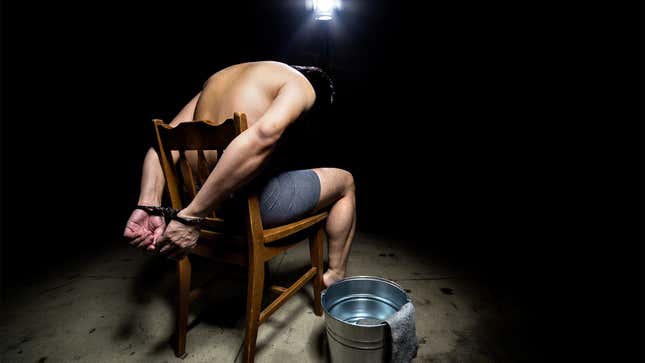 Image for article titled Report Finds Encouraging Rise In Jobs That Involve Torturing Somebody