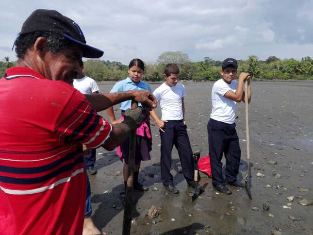 Imagen para el artículo titulado Cazadores de fósiles encontraron huesos de una ballena antigua ... y luego vieron estas marcas de mordedura