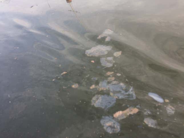 Toxic water.