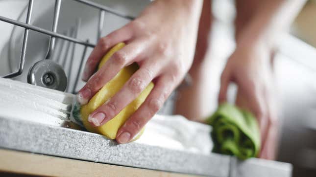 Person cleaning a dishwasher.