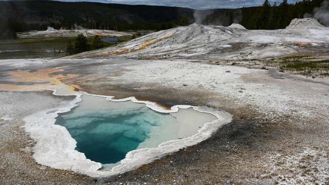 A deep blue hot spring in Yellowstone National Park.