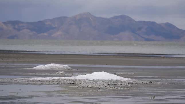 Much of the Great Salt Lake is now mud and cracked earth instead of water. 