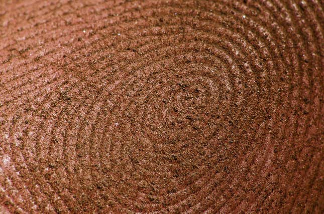 Imagen para el artículo titulado 2020 también es el año que llovió chocolate en polvo en un pueblo de Suiza
