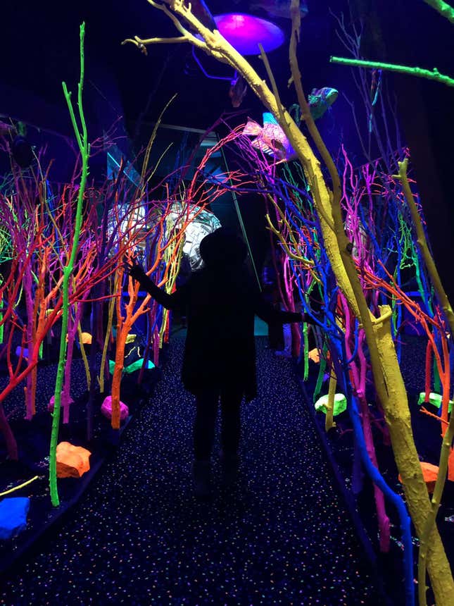 Image for article titled Why You Need to Get Yourself to the Nearest Meow Wolf Portal and Jump In