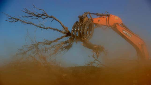 A worker with Fowler Brothers Farming uses an excavator to place almond trees into a shredder during an orchard removal project on May 27, 2021 in Snelling, California.