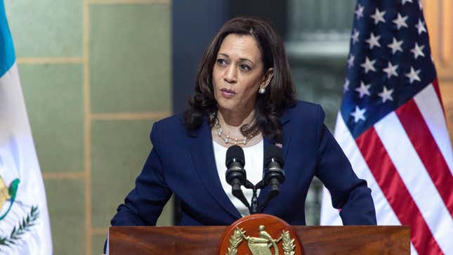 Vice President Kamala Harris meets with Guatemala’s President and community leaders in Guatemala City on July 6, 2021 to discuss migration and corruption control.