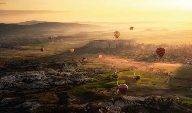 Image for article titled Epic and intimate glimpses of nature from the Sony World Photography Awards